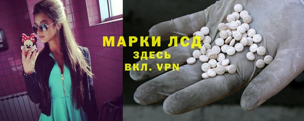 прущие грибы Абаза