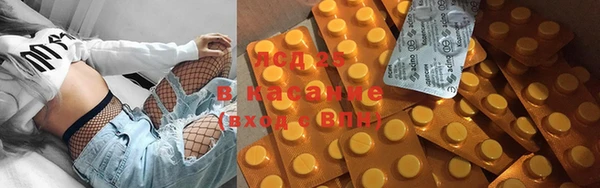 прущие грибы Абаза