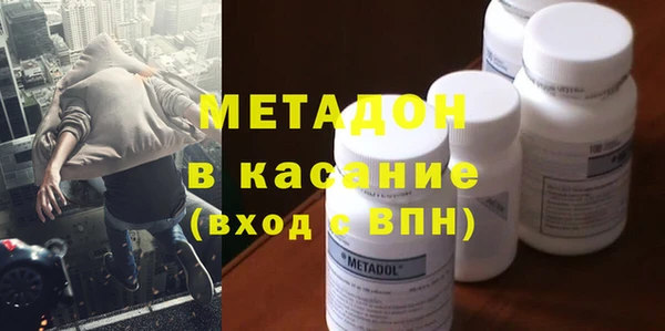 прущие грибы Абаза
