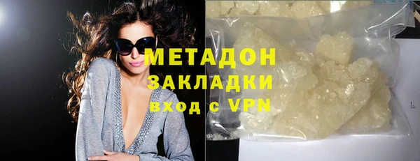 прущие грибы Абаза
