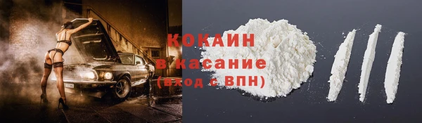 прущие грибы Абаза