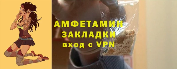 прущие грибы Абаза