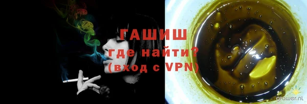 прущие грибы Абаза