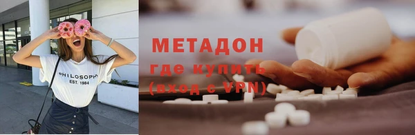 прущие грибы Абаза