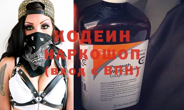 прущие грибы Абаза