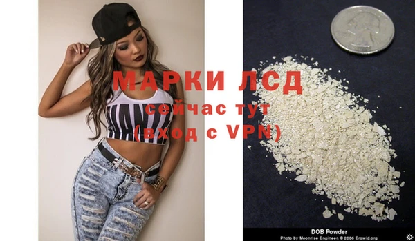прущие грибы Абаза