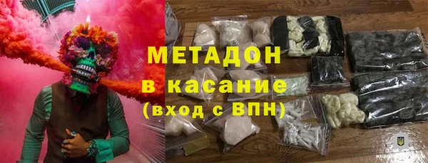 прущие грибы Абаза