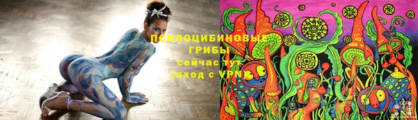 тгк Горно-Алтайск