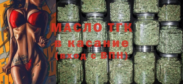 прущие грибы Абаза